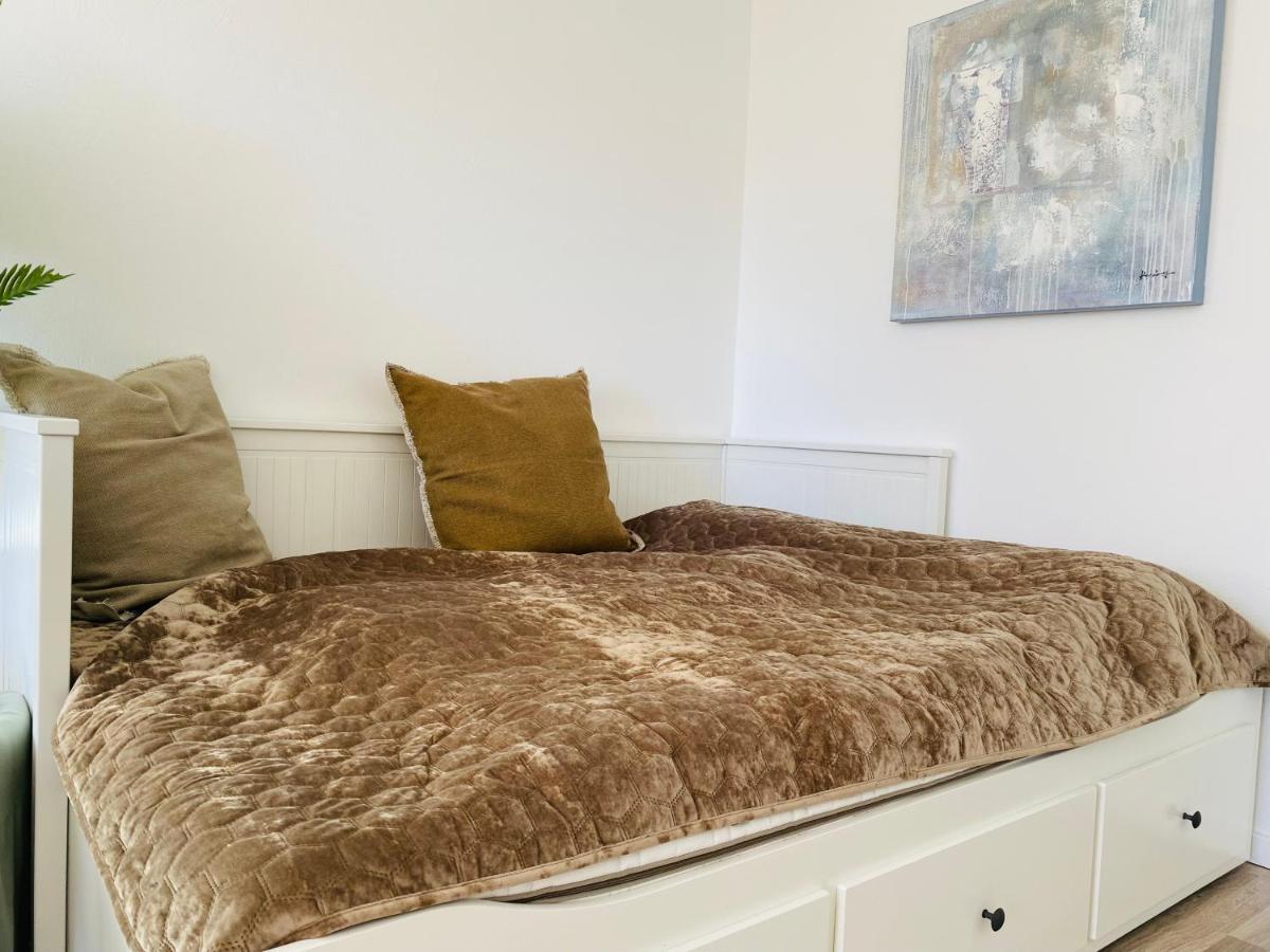 Bike Hike Ski Brilon - Ferienappartment Dış mekan fotoğraf